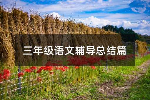 三年級(jí)語(yǔ)文輔導(dǎo)總結(jié)篇