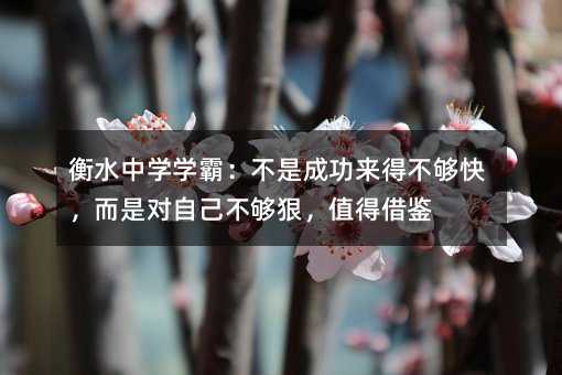 ��ˮ�ЌW�W�ԣ����ǳɹ����ò���죬���ǌ��Լ�����ݣ�ֵ�ý��b