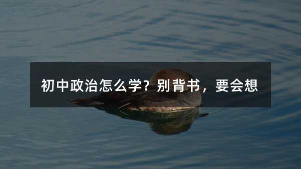 ����������ô�W���e������Ҫ����