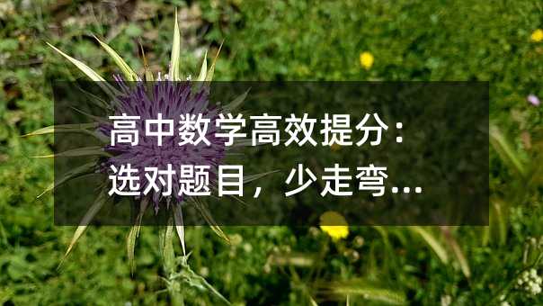 高中數(shù)學(xué)高效提分:選對題目,少走彎路!