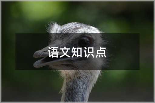 語文知識點