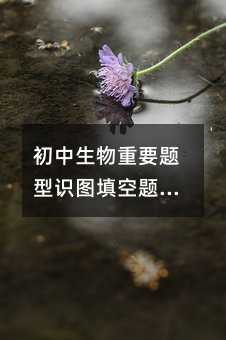 ����������Ҫ�}���R(sh��)�D����}����֪����ν���᣿