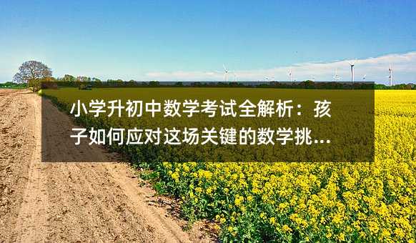 小學升初中數學考試全解析:孩子如何應對這場關鍵的數學挑戰?