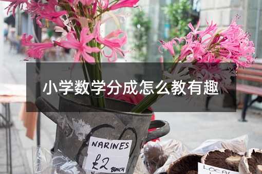 小學數學分成怎么教有趣