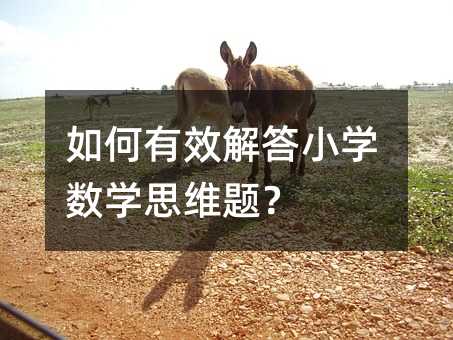 如何有效解答小學數學思維題?