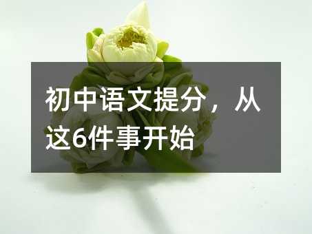 初中語(yǔ)文提分,從這6件事開(kāi)始