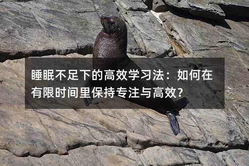 ˯߲µĸЧWޕrgﱣ֌עcЧ