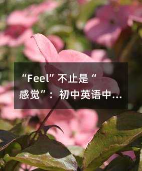 “Feel”不止是“感覺”:初中英語中這個高頻動詞的五大用法與教學啟示