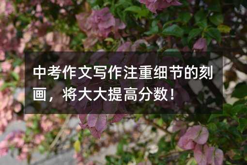 中考作文寫作注重細節的刻畫,將大大提高分數!