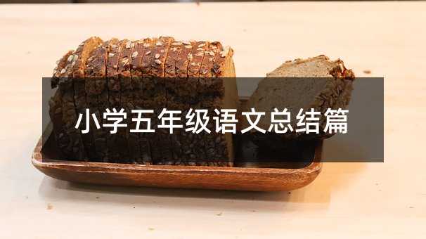 小學五年級語文總結篇