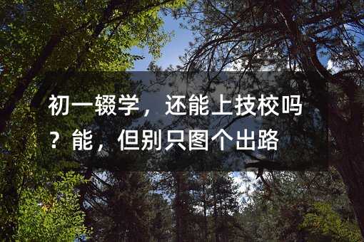 初一輟學,還能上技校嗎?能,但別只圖個出路