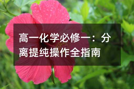 高一化學(xué)必修一:分離提純操作全指南