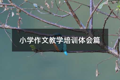 小學作文教學培訓體會篇