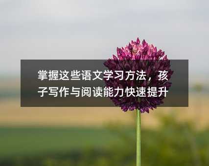 掌握這些語文學習方法,孩子寫作與閱讀能力快速提升