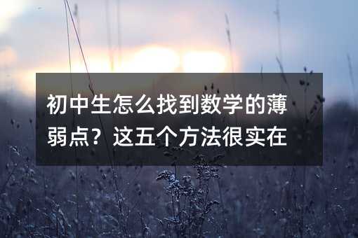 初中生怎么找到數學的薄弱點?這五個方法很實在