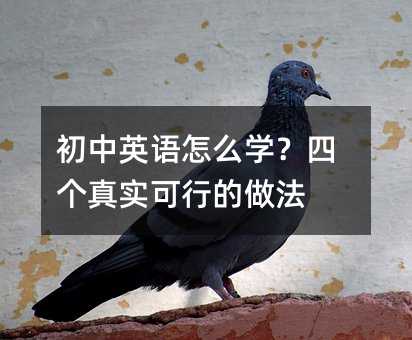 初中英語怎么學?四個真實可行的做法