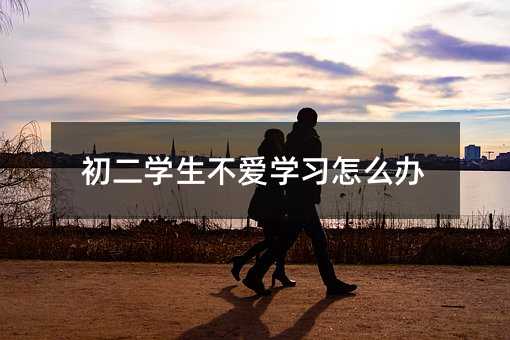 初二學生不愛學習怎么辦