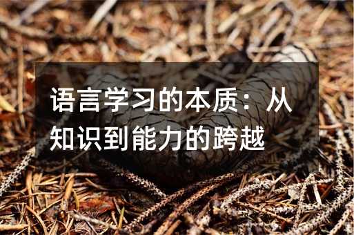 語言學習的本質:從知識到能力的跨越