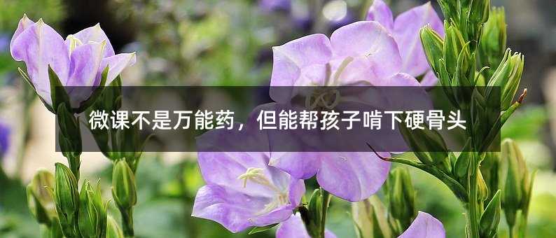 微課不是萬能藥,但能幫孩子啃下硬骨頭