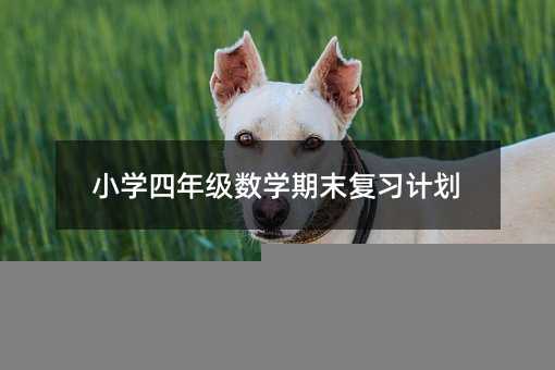 小學四年級數學期末復習計劃