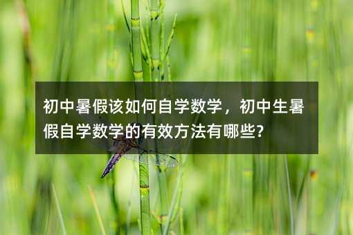 初中暑假該如何自學數學,初中生暑假自學數學的有效方法有哪些?
