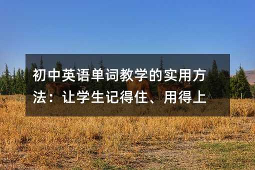 初中英語單詞教學(xué)的實用方法:讓學(xué)生記得住、用得上