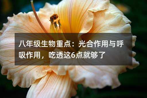 八年級生物重點:光合作用與呼吸作用,吃透這6點就夠了