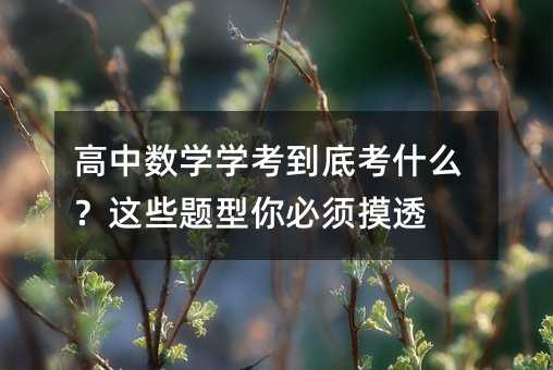 高中數(shù)學(xué)學(xué)考到底考什么?這些題型你必須摸透