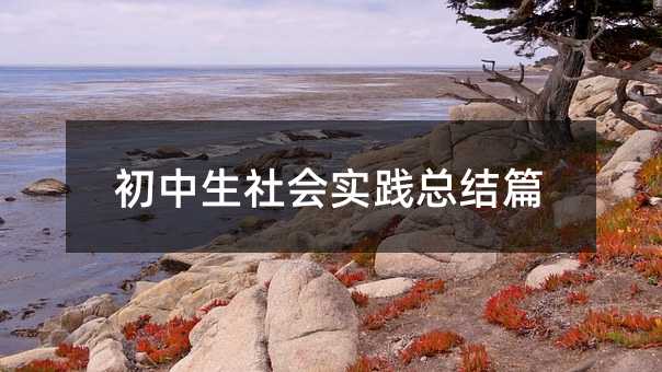 初中生社會(huì)實(shí)踐總結(jié)篇