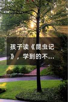 孩子讀《昆蟲記》,學(xué)到的不只是昆蟲