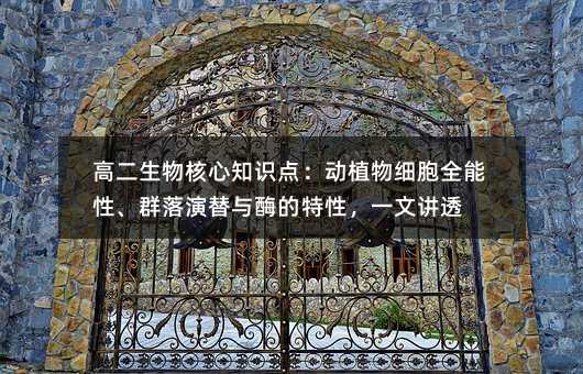 ߶֪R(sh)c(din)(dng)ֲ：(x)ȫȺcøһv͸