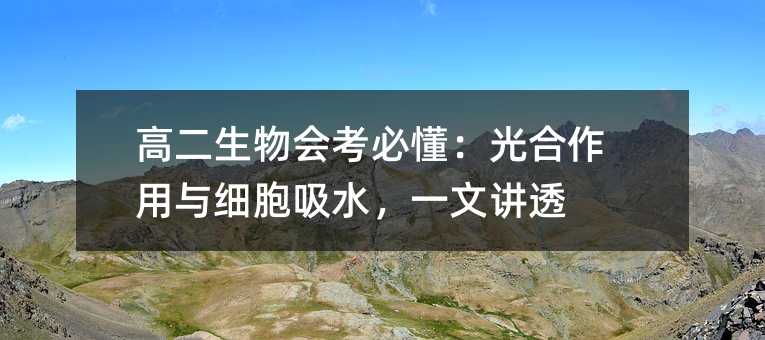 高二生物會考必懂:光合作用與細胞吸水,一文講透