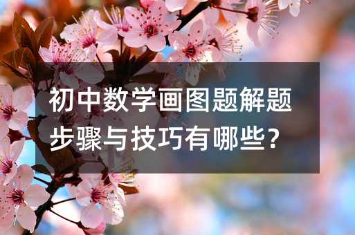 初中數(shù)學(xué)畫圖題解題步驟與技巧有哪些?