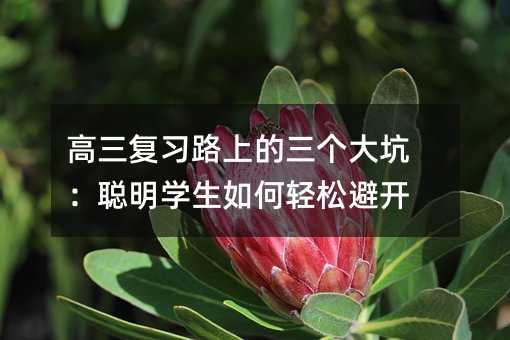 高三復習路上的三個大坑:聰明學生如何輕松避開