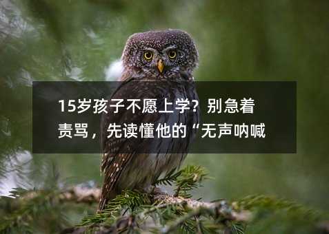 15歲孩子不愿上學(xué)?別急著責(zé)罵,先讀懂他的“無(wú)聲吶喊”