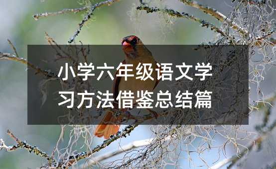 小學六年級語文學習方法借鑒總結篇