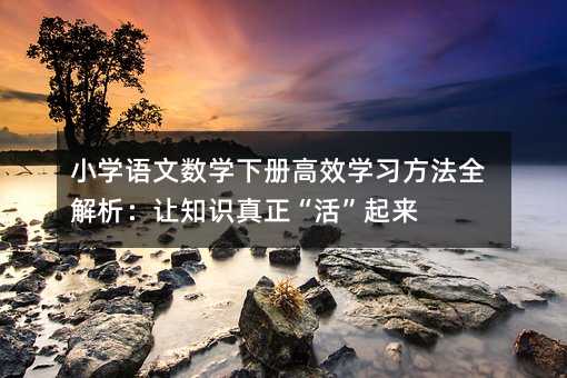 С�W�Z�Ĕ�(sh��)�W�Ը�Ч�W������ȫ������׌֪�R�����������