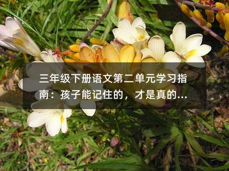 三年級(jí)下冊(cè)語(yǔ)文第二單元學(xué)習(xí)指南:孩子能記住的,才是真的學(xué)會(huì)