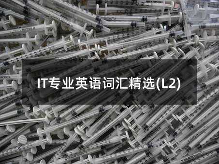 IT專業英語詞匯精選(L2)