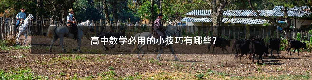 高中數(shù)學必用的小技巧有哪些?
