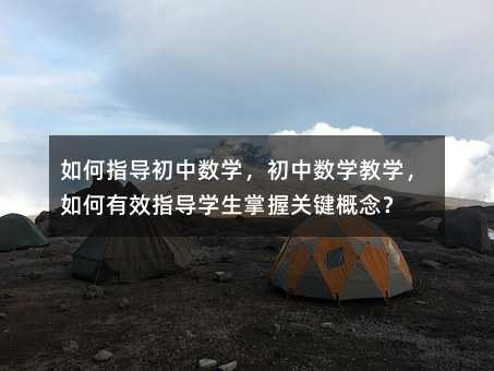 如何指導(dǎo)初中數(shù)學(xué),初中數(shù)學(xué)教學(xué),如何有效指導(dǎo)學(xué)生掌握關(guān)鍵概念?