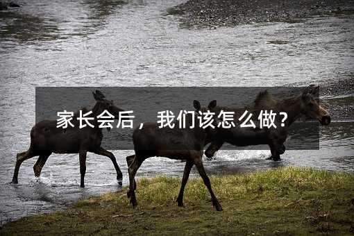 家長會后,我們該怎么做?