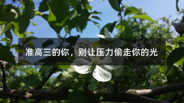 �ʸ������㣬�e׌����͵����Ĺ�