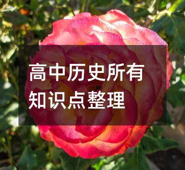 高中歷史所有知識(shí)點(diǎn)整理