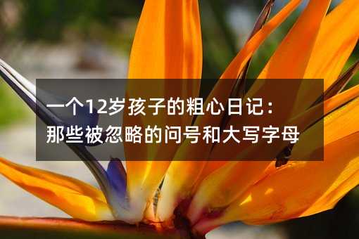 һ(g)12qӵĴӛЩԵĆ̖(ho)ʹĸ