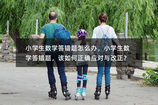 小學生數學答錯題怎么辦,小學生數學答錯題,該如何正確應對與改正?