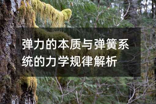 彈力的本質與彈簧系統的力學規律解析