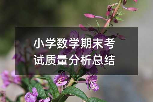 小學(xué)數(shù)學(xué)期末考試質(zhì)量分析總結(jié)