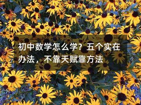 初中數學怎么學?五個實在辦法,不靠天賦靠方法