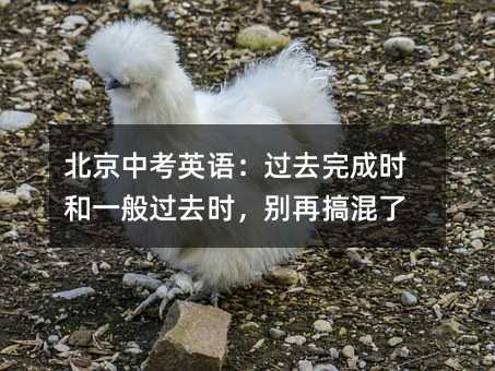 北京中考英語:過去完成時(shí)和一般過去時(shí),別再搞混了
